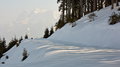 004_011_IMG_2333s