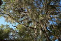 075_IMG_2496s