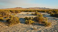 238_NE_Landscape_resize
