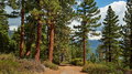 640_NE_Lake_Tahoe_Stateline_Lookout_resize