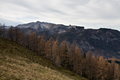 05009_IMG_3000s