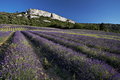 013_058_Landscape_resize