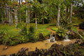 079_Furnas_Terra_Nostra_Gardens
