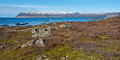 057_342_Landscape_resize