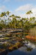 047_Hawaii