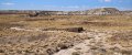0658_IMG_2549s