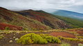 029_Landscape_resize