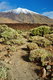 061_Roques_de_Garcia_resize