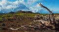 109_Mountain_Reventada_resize