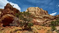 Capitol-Reef_IMG_9368_resize