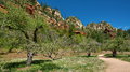 Sedona_IMG_7065_resize