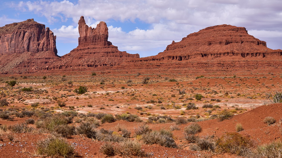 0547_IMG_2021s