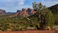 0290_IMG_0856s