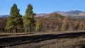 0431_IMG_1602s