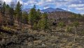 0449_IMG_1689s