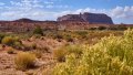 0541_IMG_2041s