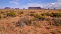 0548_IMG_2114s