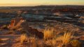 0699_IMG_2713s