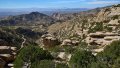 0975_IMG_3617s