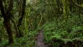 074-400_IMG_1644s